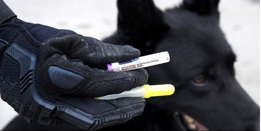 New drug kits save police dogs from opioid overdoses