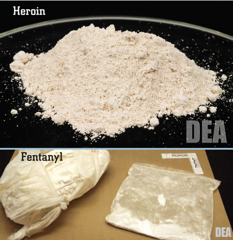 Fentanyl banned from courtrooms