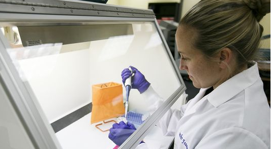 Audit: Oregon crime lab shakeup over rape kit testing reduces backlog