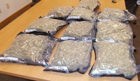 10 pounds of marijuana sent to wrong address in Indiana