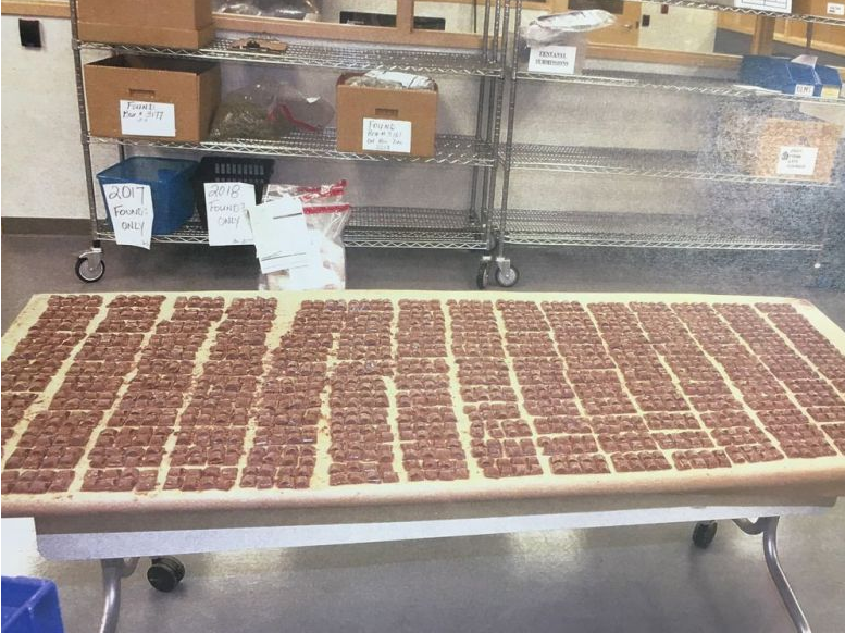 ‘Idiot’ Toronto police officer gets six months house arrest for eating evidence: a pot-laced chocolate bar