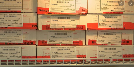 Untested rape kit backlog has returned: GBI