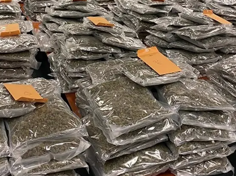 Florida sheriff looking to return $2 Million in marijuana to rightful owner: ‘Very least we can do’