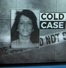 Honolulu cold case murder mystery solved?